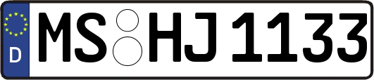 MS-HJ1133