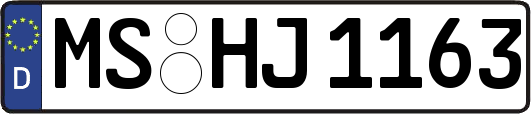 MS-HJ1163