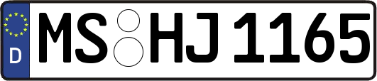 MS-HJ1165