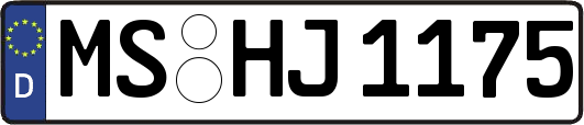 MS-HJ1175