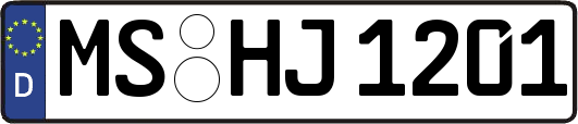 MS-HJ1201