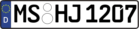 MS-HJ1207