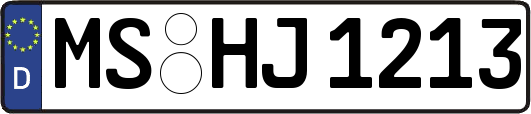MS-HJ1213