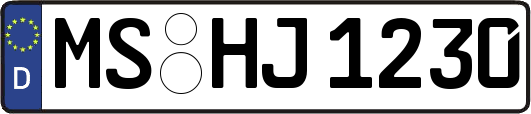 MS-HJ1230