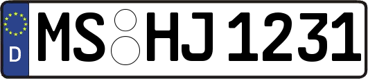 MS-HJ1231