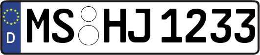 MS-HJ1233