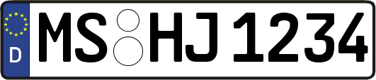 MS-HJ1234