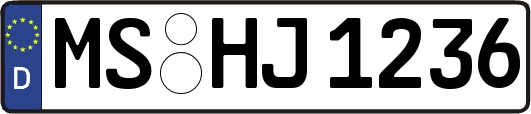 MS-HJ1236
