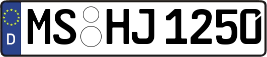 MS-HJ1250