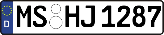 MS-HJ1287