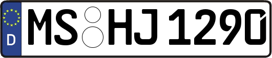 MS-HJ1290