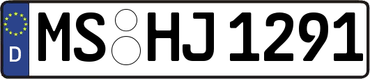 MS-HJ1291