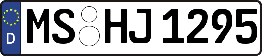 MS-HJ1295