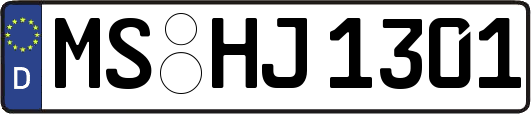MS-HJ1301