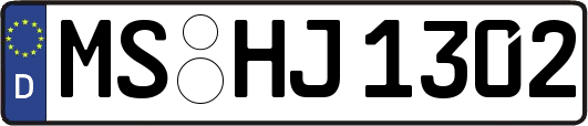 MS-HJ1302