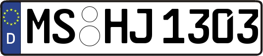MS-HJ1303