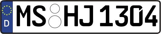 MS-HJ1304