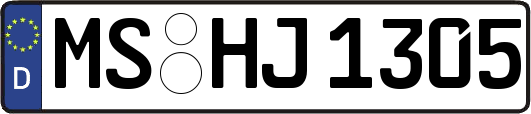 MS-HJ1305