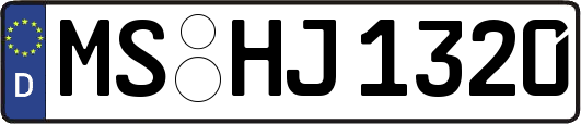 MS-HJ1320