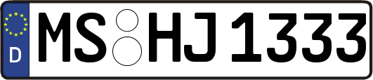 MS-HJ1333