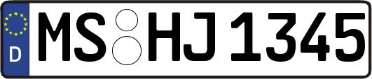 MS-HJ1345