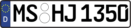 MS-HJ1350