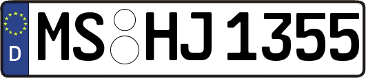 MS-HJ1355
