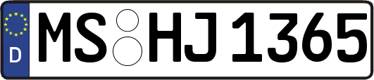 MS-HJ1365