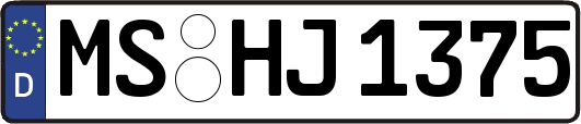 MS-HJ1375