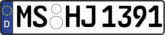 MS-HJ1391