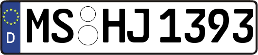 MS-HJ1393