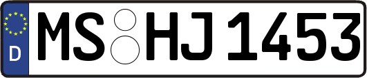 MS-HJ1453