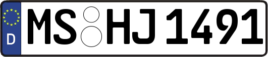 MS-HJ1491