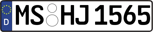 MS-HJ1565