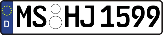 MS-HJ1599