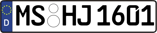 MS-HJ1601