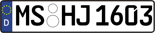 MS-HJ1603