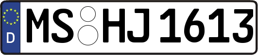 MS-HJ1613
