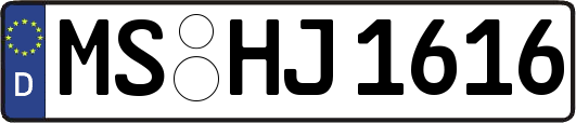 MS-HJ1616