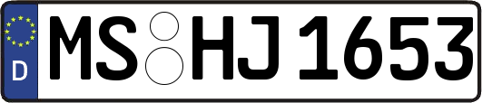 MS-HJ1653