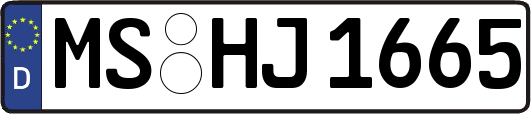 MS-HJ1665