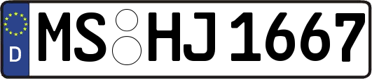 MS-HJ1667
