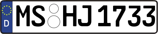MS-HJ1733