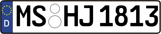 MS-HJ1813