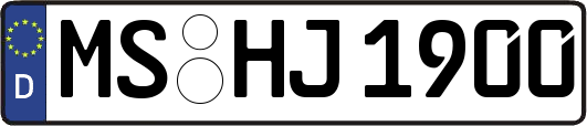 MS-HJ1900