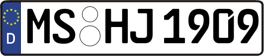 MS-HJ1909