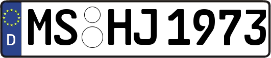 MS-HJ1973