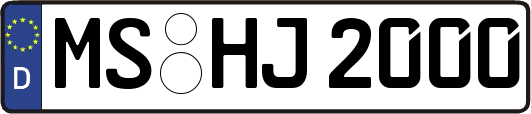 MS-HJ2000