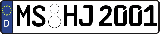 MS-HJ2001