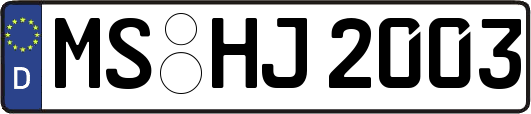 MS-HJ2003